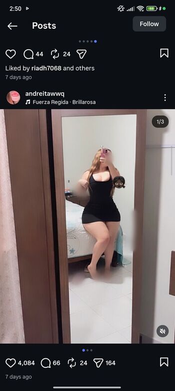 andreitawwq