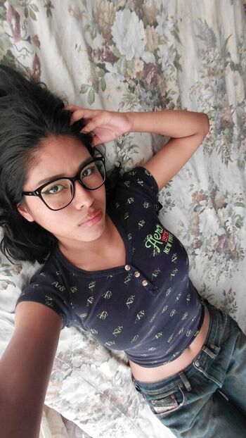 anisauro6
