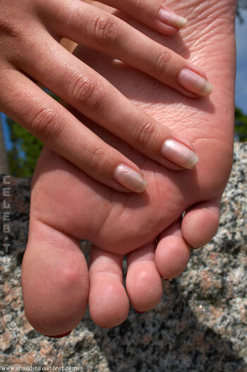 Scandinavian Feet